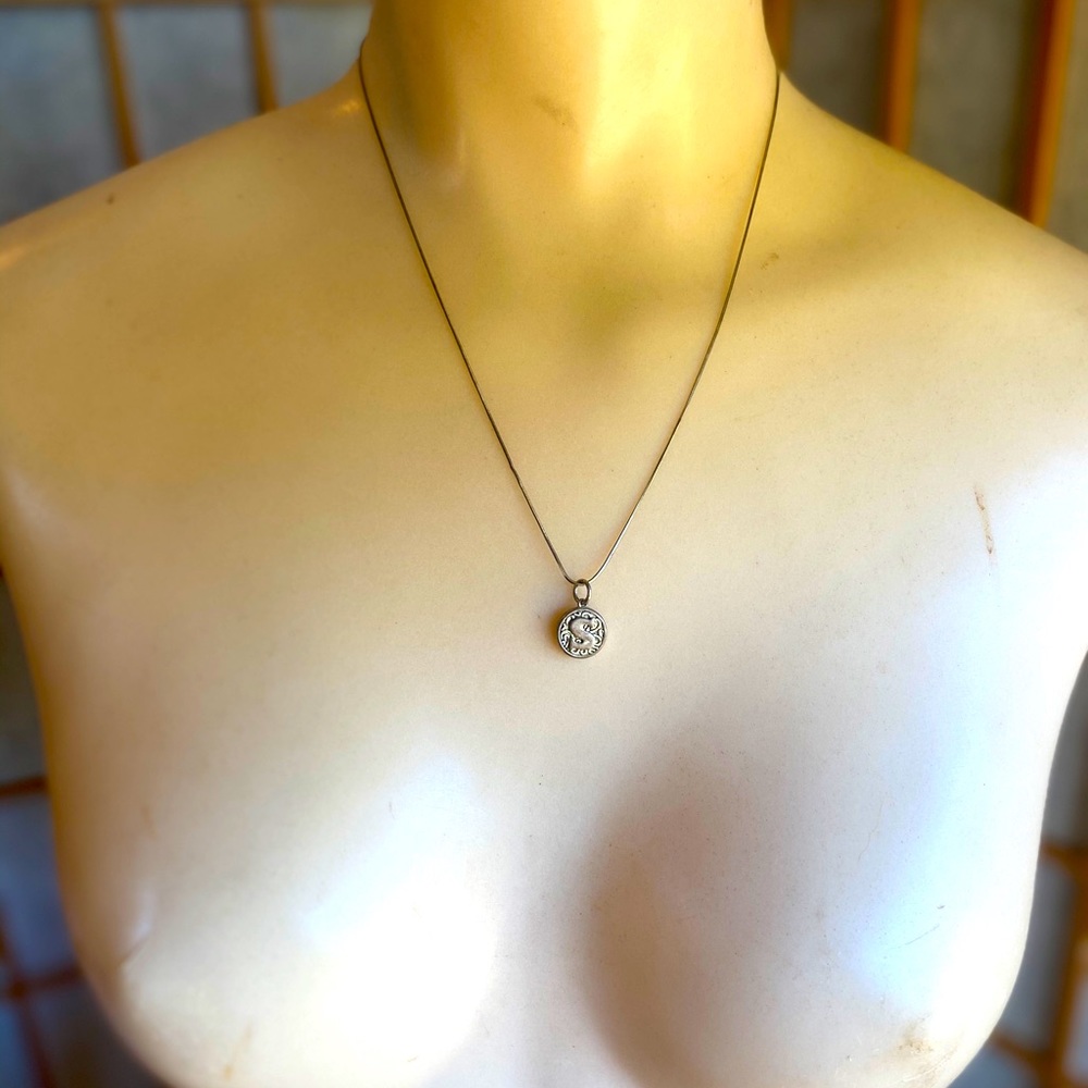 Sterling Silver S charm and chain